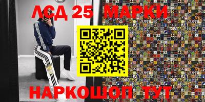 гашик Кандалакша