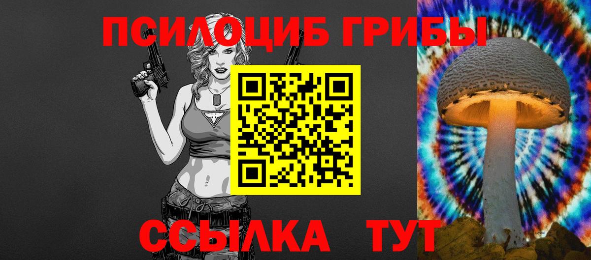 Псилоцибиновые грибы Cubensis Армавир