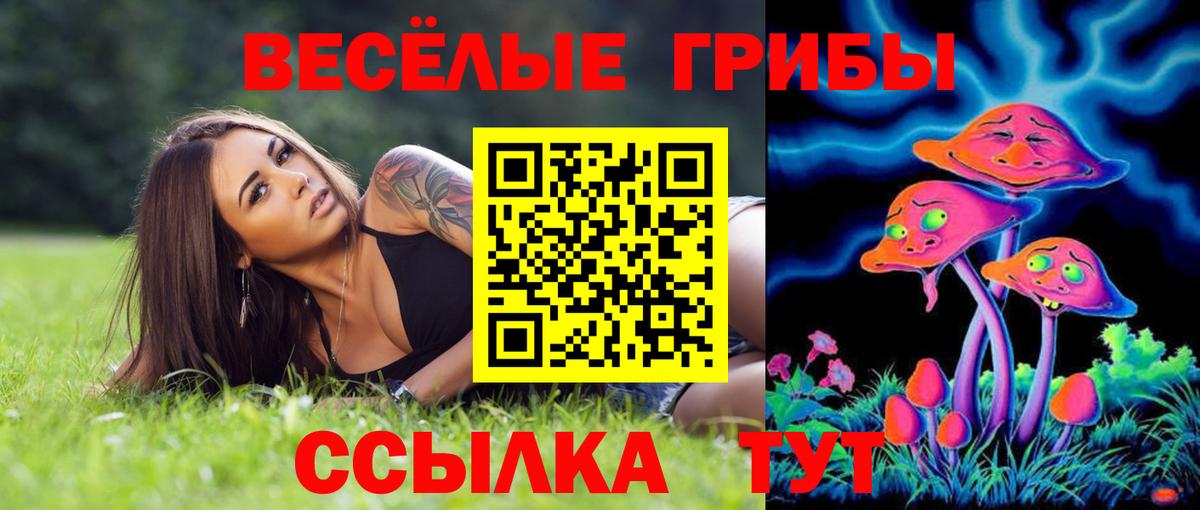 Псилоцибиновые грибы GOLDEN TEACHER  Вход с VPN  Армавир 